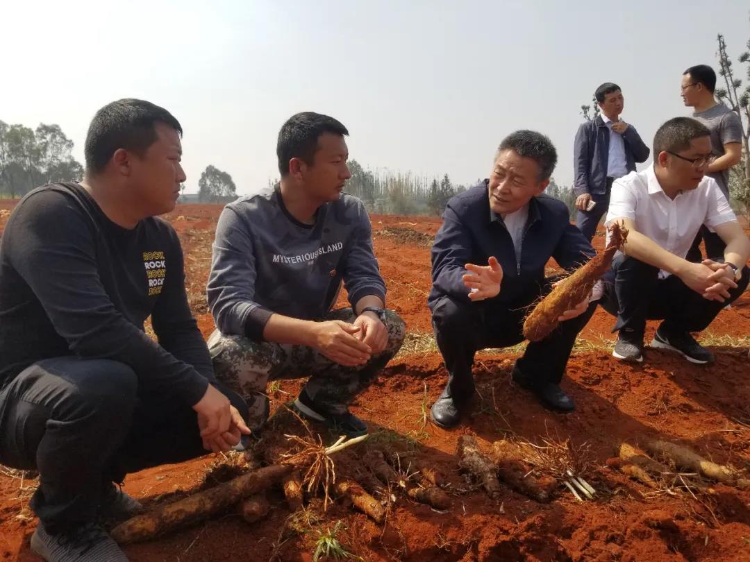 腾博会官网 - 诚信为本,专业服务!